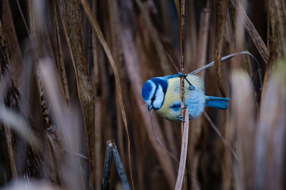 Photograph by Дмитрий Батенёв