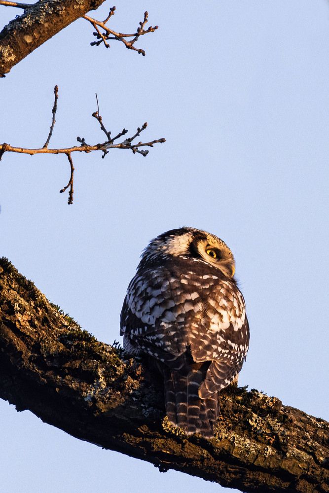 Photograph by Ксения Зайцева