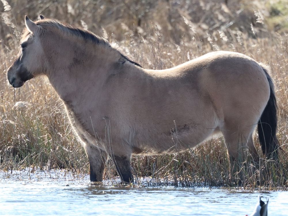 Photograph by Anja Kroes, Dutch