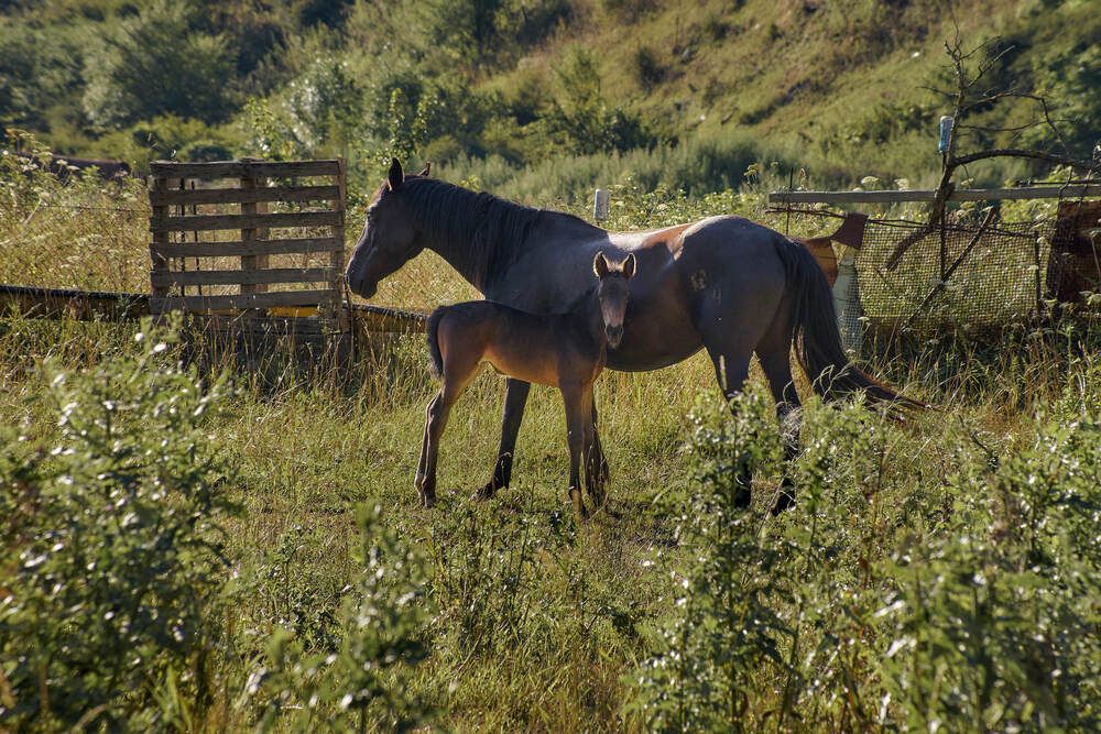Фотография автора Карпович Максим