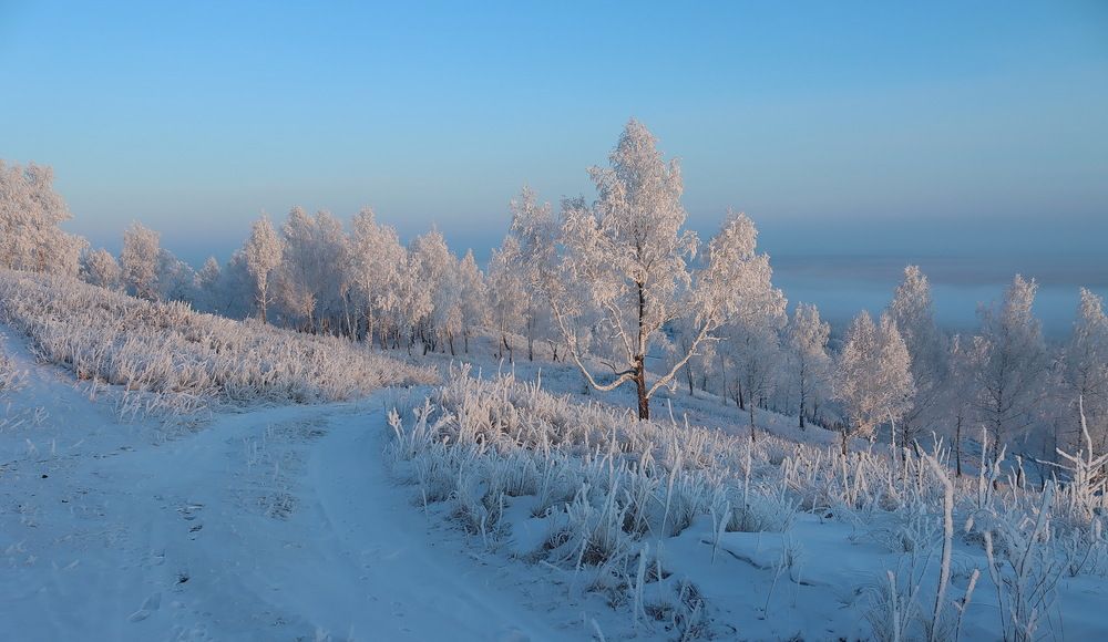 Photograph by Наталья Юрова