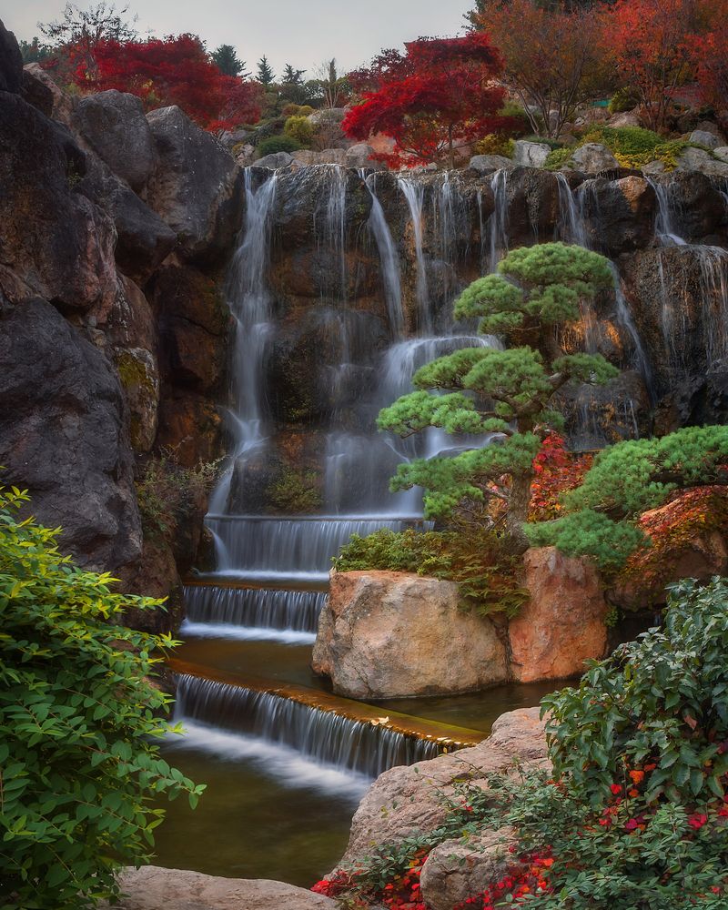 Photograph by Дмитренко Екатерина