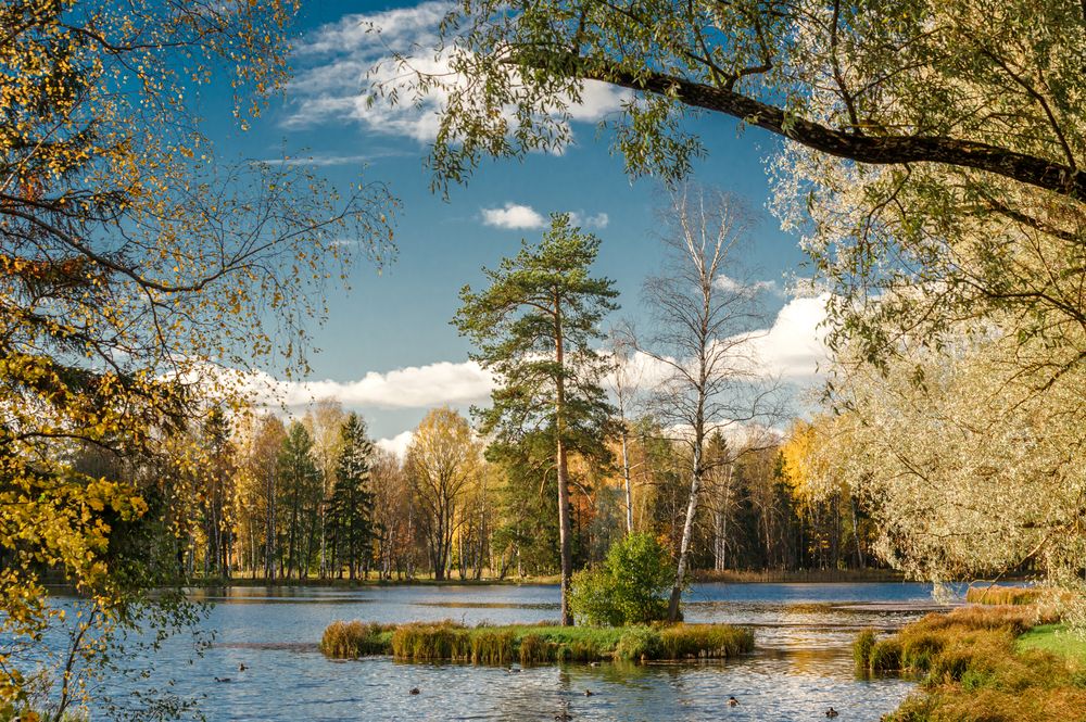 Photograph by Gennadiy Slezkin