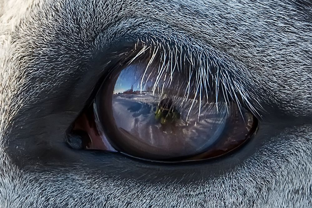 Photograph by Наталья Суслова