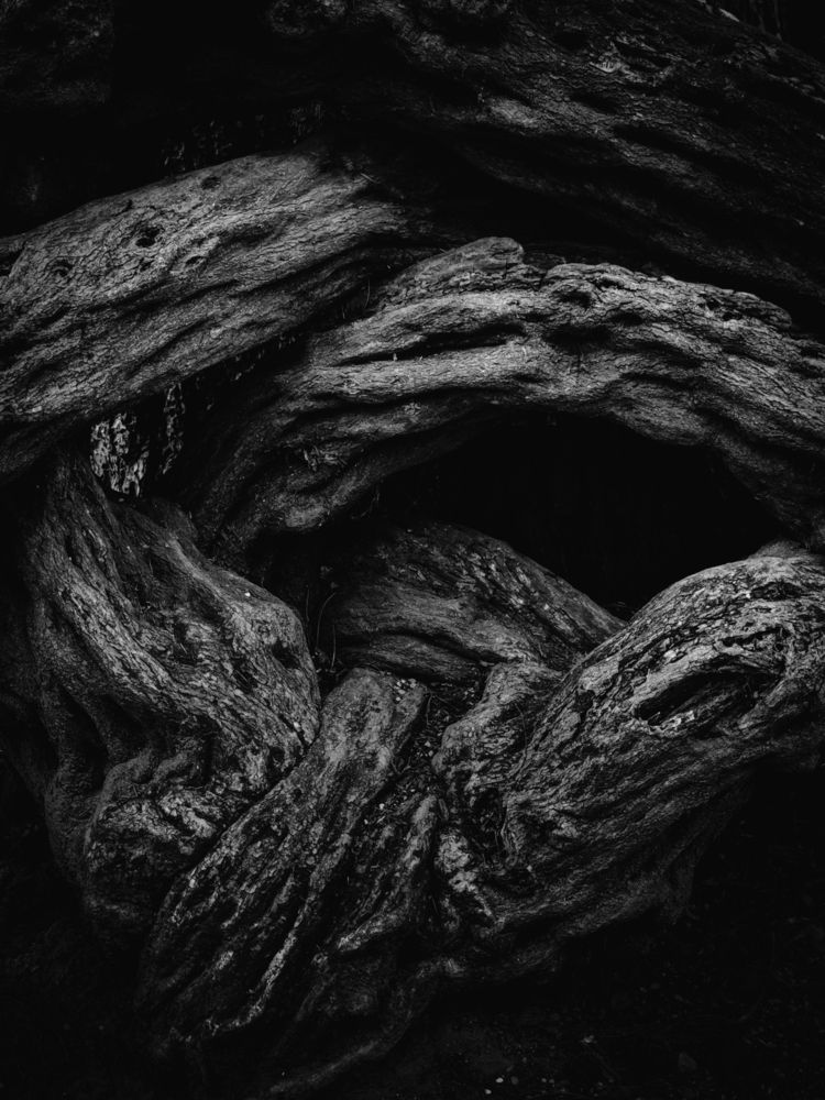 Фотография автора Александра Шилова