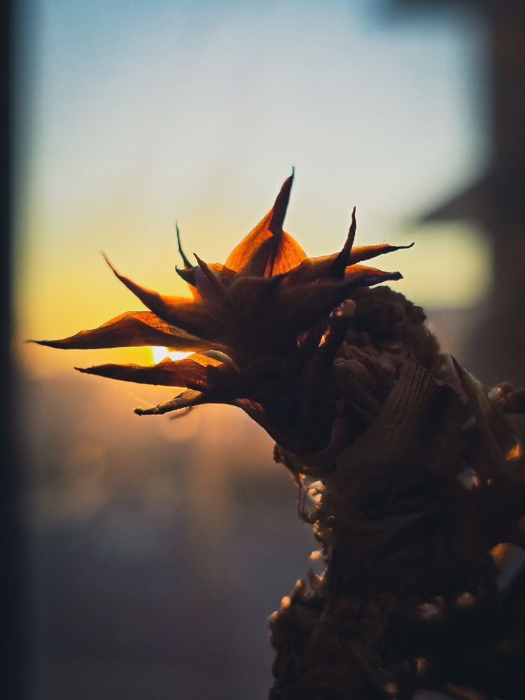 Photograph by Ирина Хлебникова