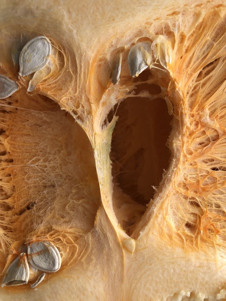 Photograph by Valentina Jegorova