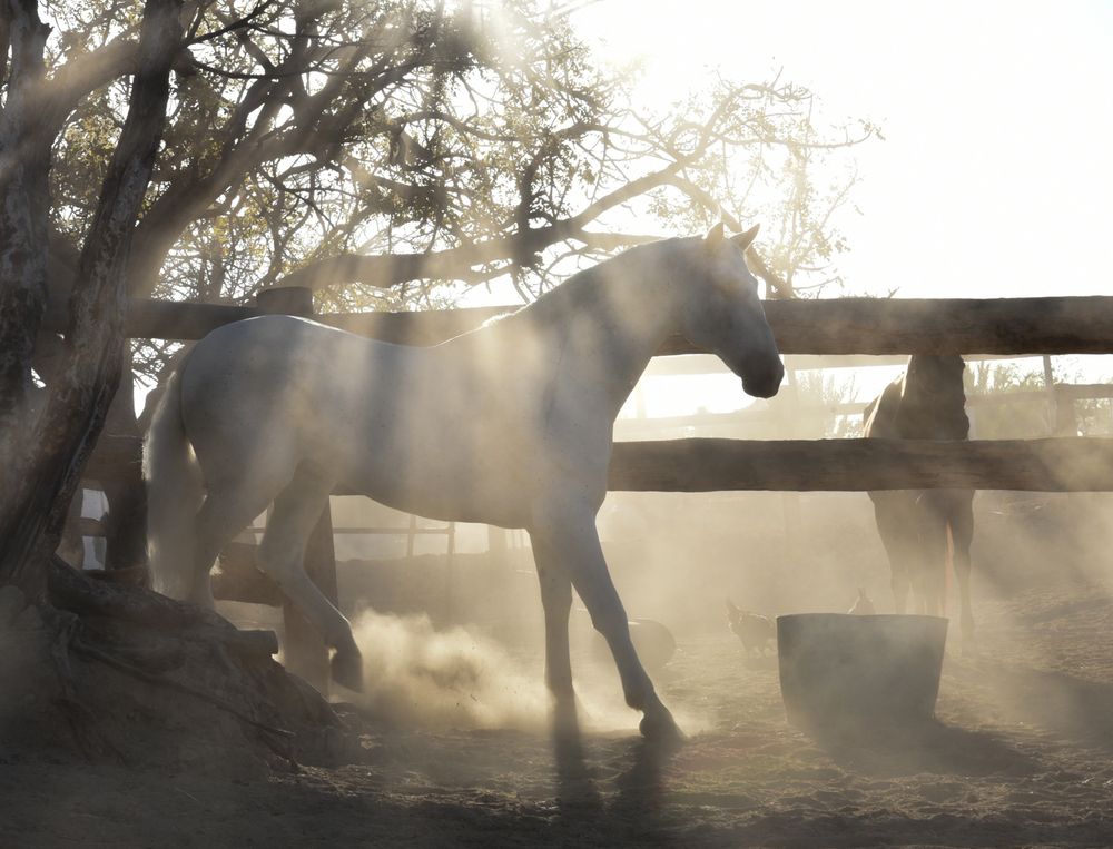 Photograph by Gabriela Bonilla