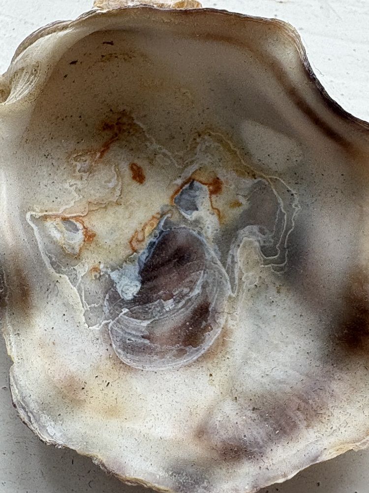 Photograph by Valentina Jegorova