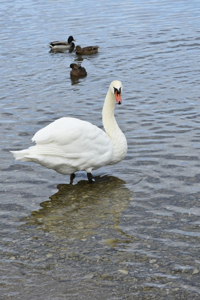 Photograph by Юлия Финогенова