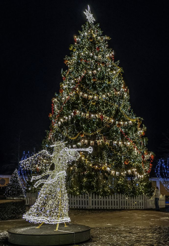 Фотография автора Ольга Виноградова