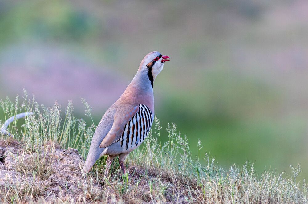 Photograph by Evgenia Sevryukova