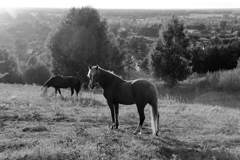 Photograph by Виталий