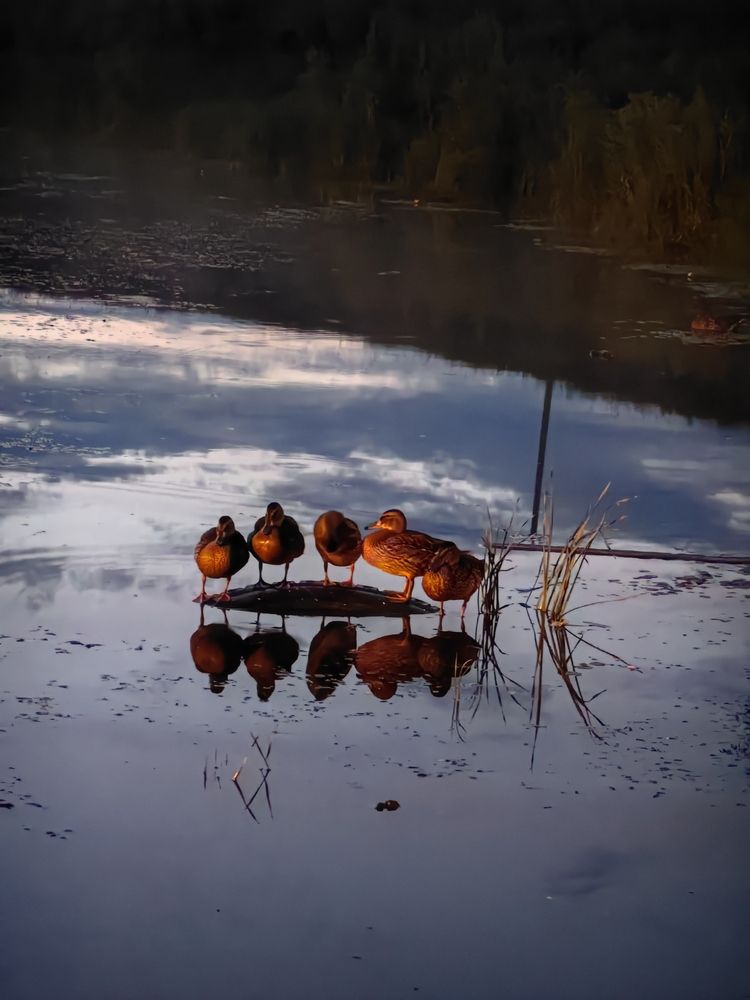 Photograph by Юлия Горелова