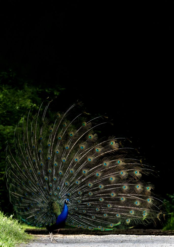 Photograph by nimalan subramaniam