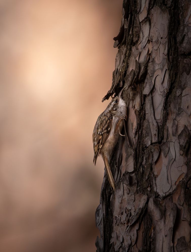 Photograph by Виктория Пиляева