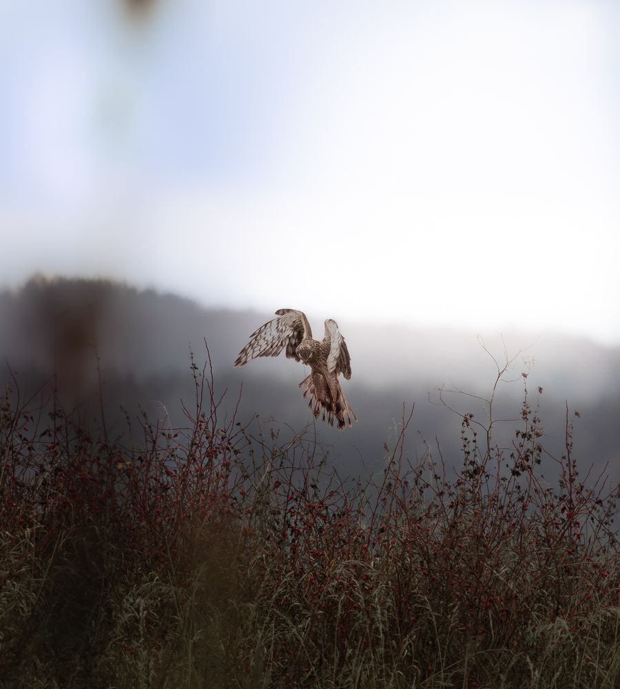 Photograph by Виктория Пиляева