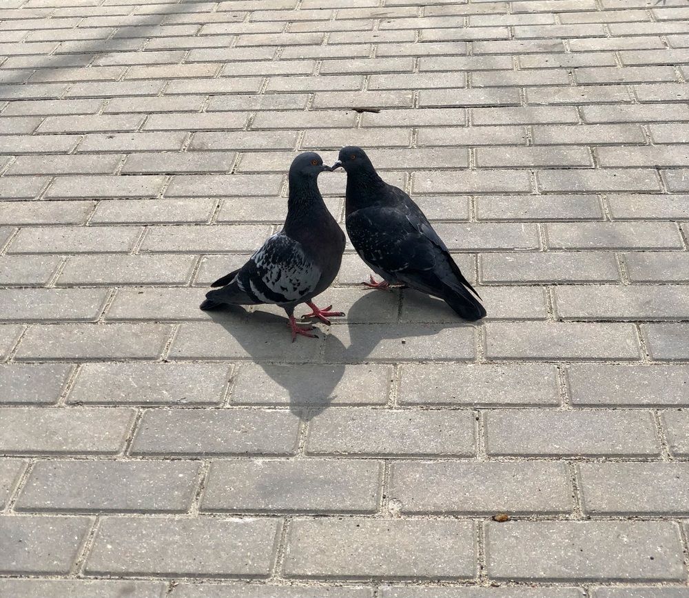 Photograph by Олеся Семёнова