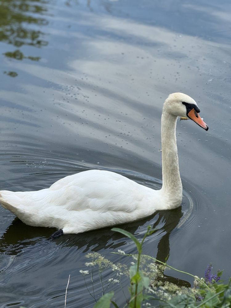 Photograph by Татьяна