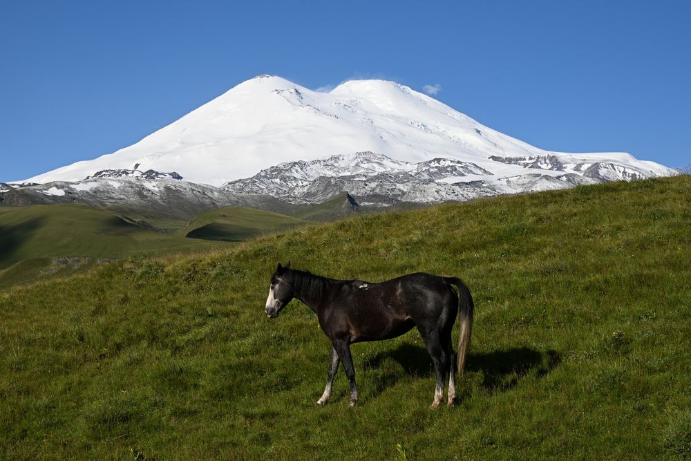 Photograph by Виталий