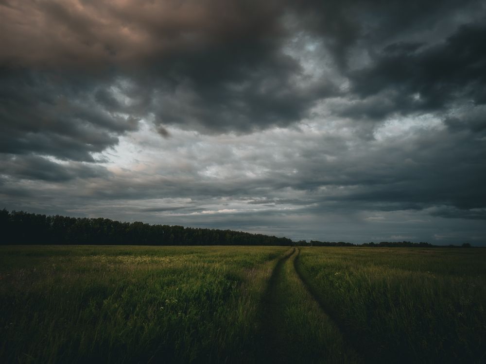 Photograph by Кирилл Сидоров