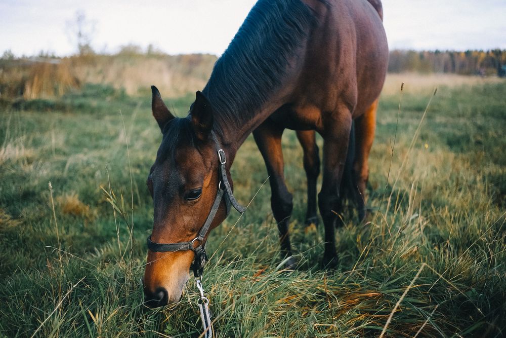 Photograph by ALISA NEZHINSKAYA