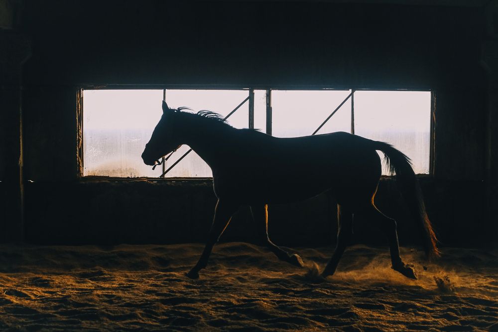 Photograph by ALISA NEZHINSKAYA