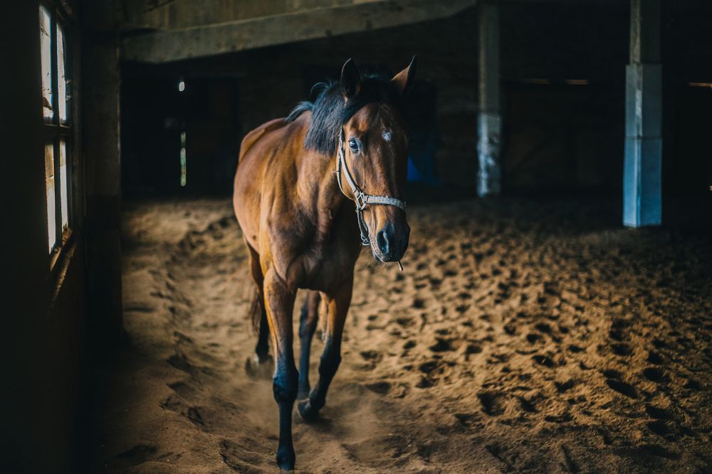 Photograph by ALISA NEZHINSKAYA