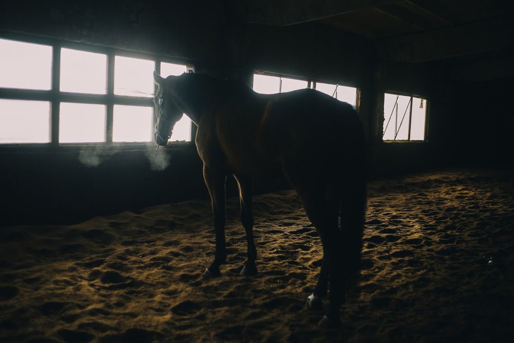 Photograph by ALISA NEZHINSKAYA