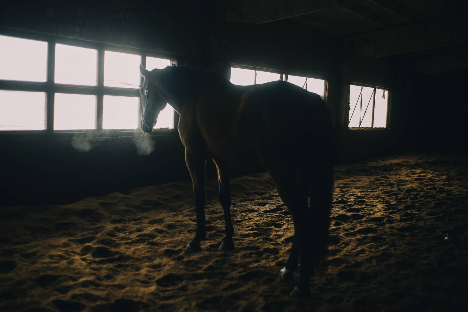 Фотография #13087384