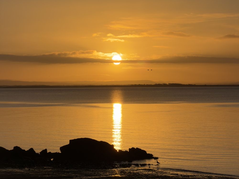 Photograph by Michael Deligan