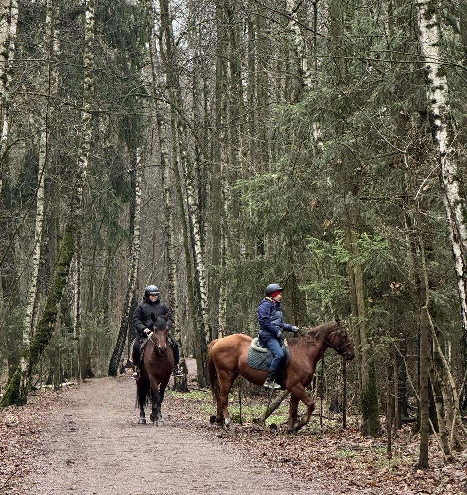 Фотография автора Галина Санчирова