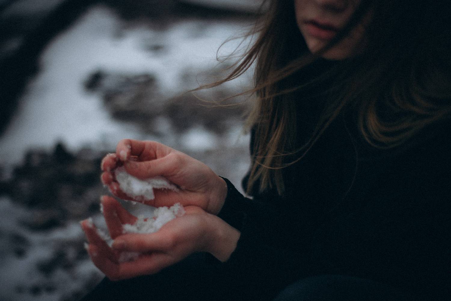 Фотография #13087419