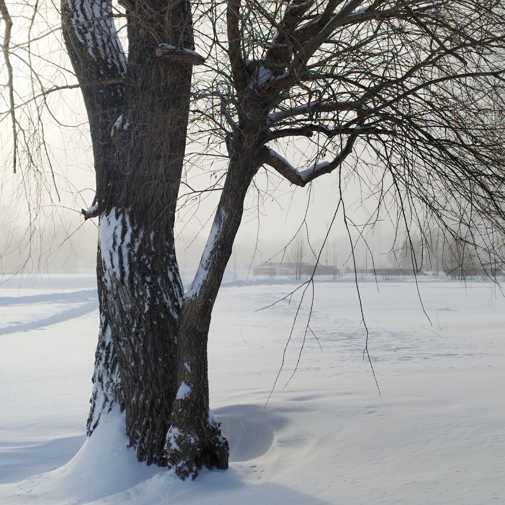 Photograph by Ирина Попелкова