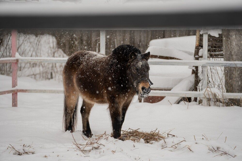 Photograph by Olesya Vladimirova