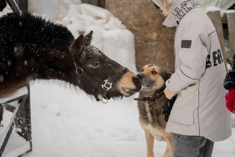 Photograph by Olesya Vladimirova
