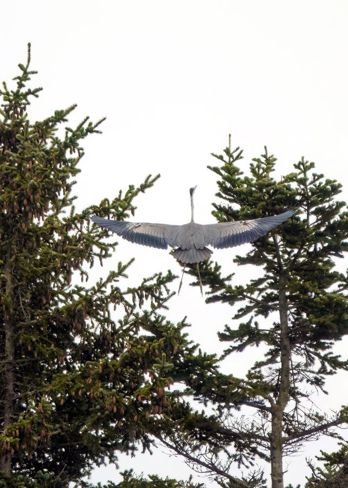 Photograph by Андрей Щербинин