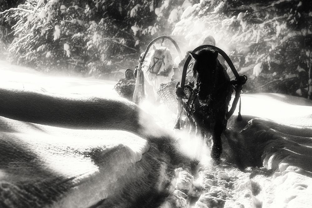 Photograph by Рашид Усманов