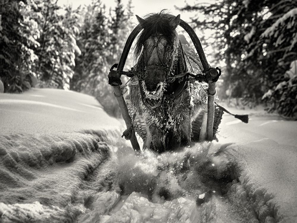 Photograph by Рашид Усманов