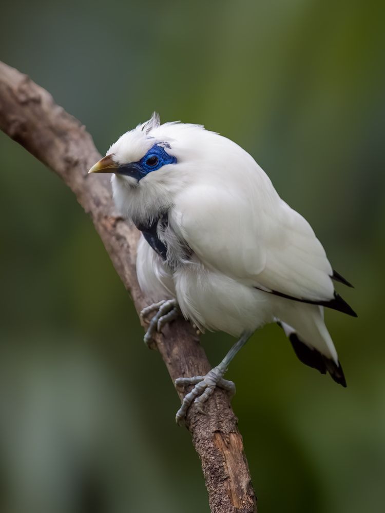 Фотография автора Sutan Naga Effendy