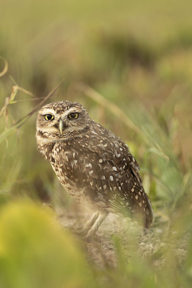 Photograph by Luiza Johnson