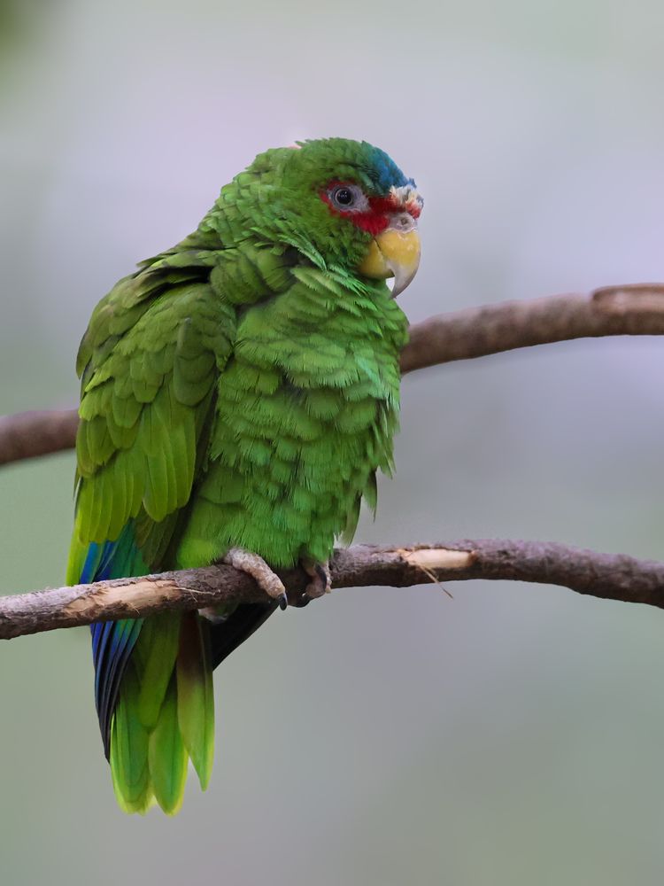 Фотография автора WONG ADVENTURE