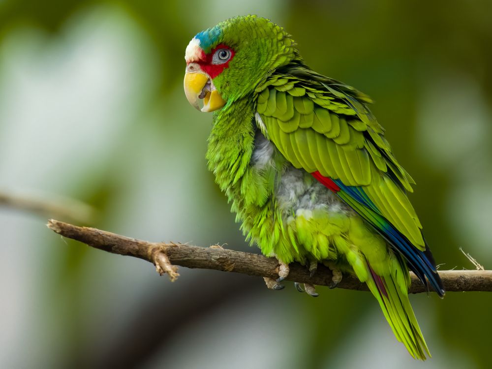 Фотография автора WONG ADVENTURE