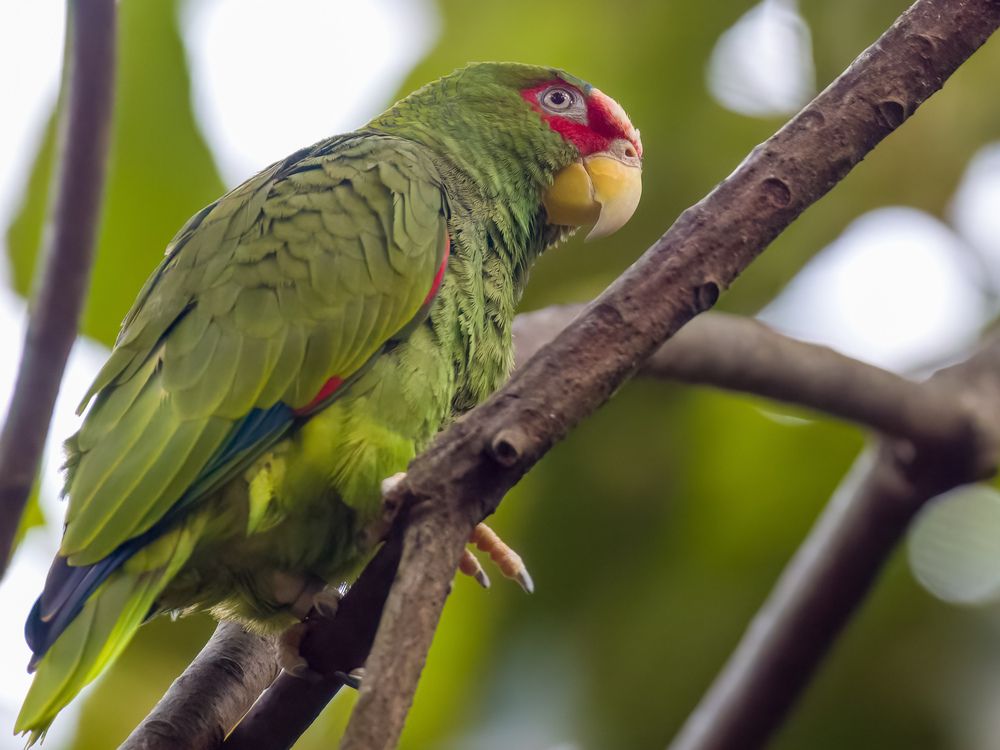 Фотография автора WONG ADVENTURE