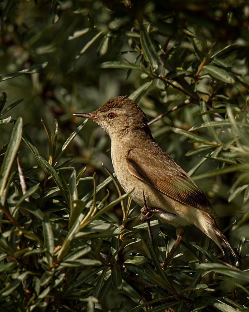 Photograph by Дмитрий Маккеев