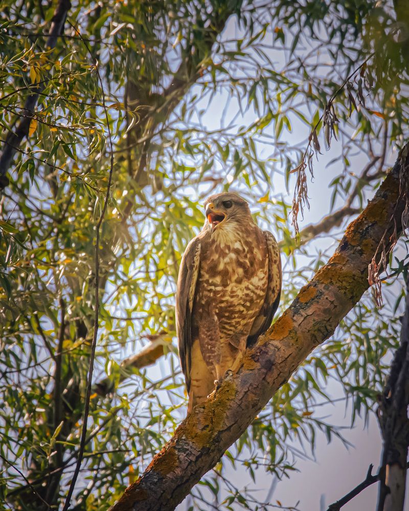 Photograph by Дмитрий Маккеев