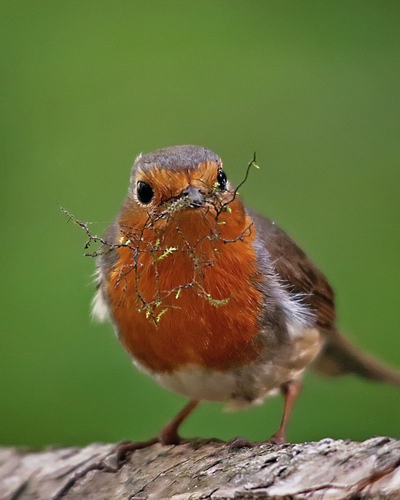 Photograph by Дмитрий Маккеев