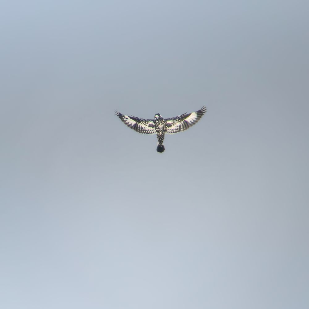 Photograph by ANTU MONDAL