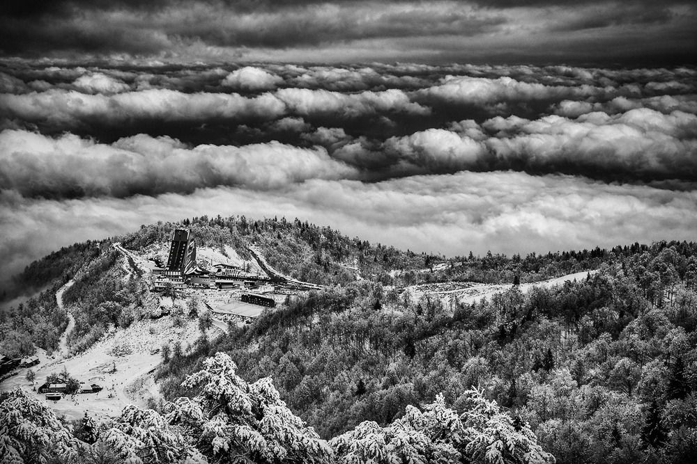 Photograph by Avi Behar