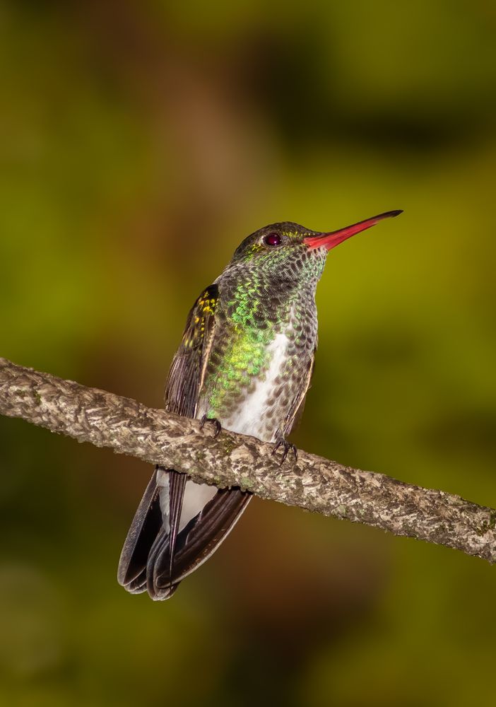 Photograph by Willes Vieira de moraes